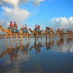 Bali-Camel-tour
