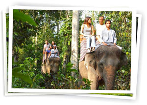 elephant_safari_ride1